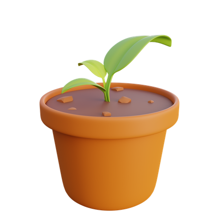植物の種と鉢  3D Icon
