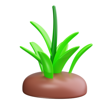 草  3D Icon