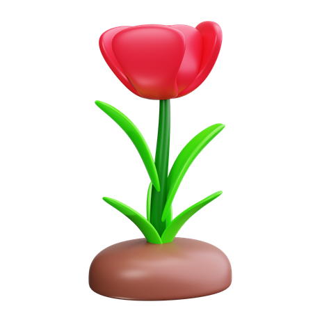 チューリップ  3D Icon