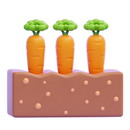 당근 심기  3D Icon