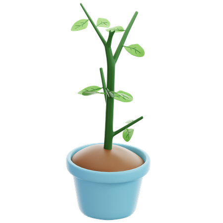 鉢植え  3D Icon