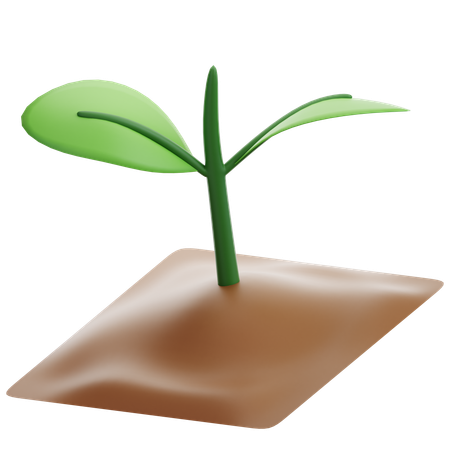 苗木  3D Icon