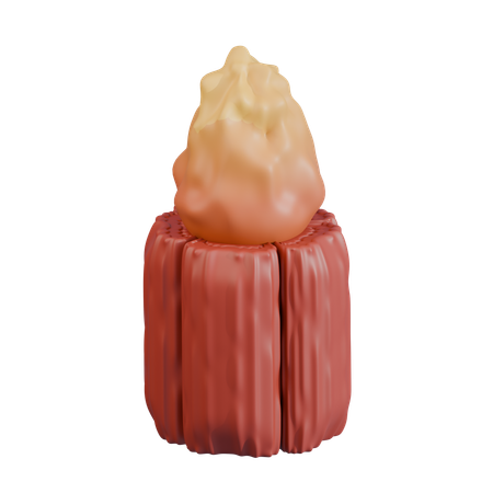 밝은 불꽃 원형 통나무 불 배열  3D Icon
