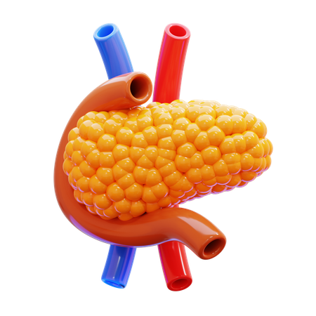 膵臓  3D Icon