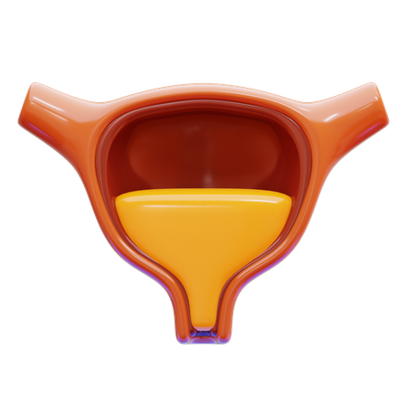 膀胱  3D Icon