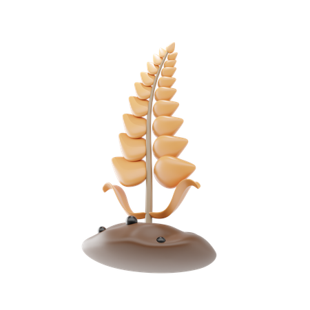 小麦  3D Icon