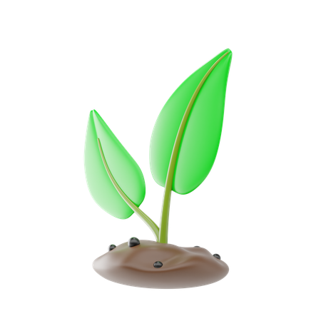 苗を植える  3D Icon