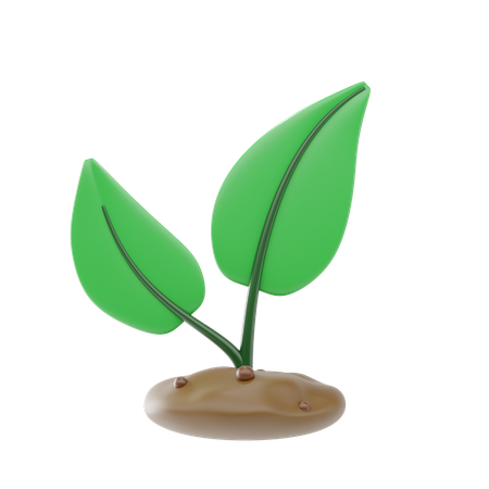 苗を植える  3D Icon