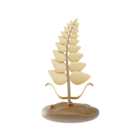 小麦  3D Icon