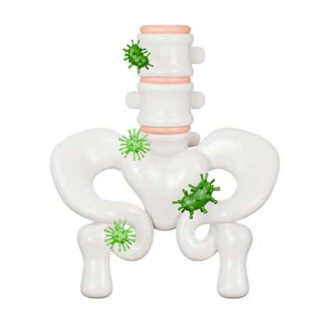 골반 질환  3D Icon