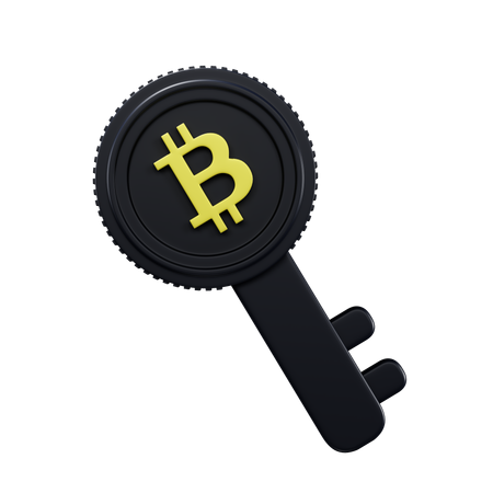 개인 키  3D Icon