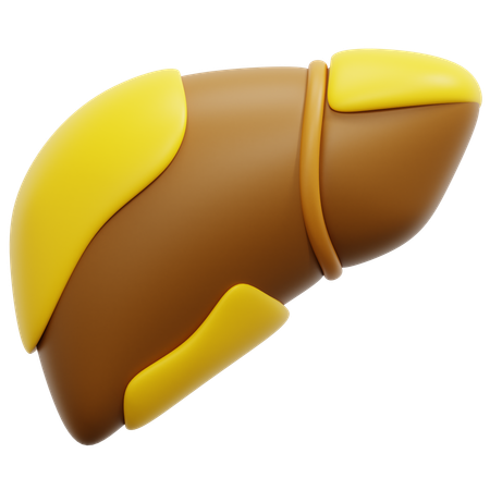 지방간  3D Icon