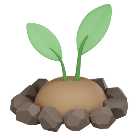 スプラウト  3D Icon