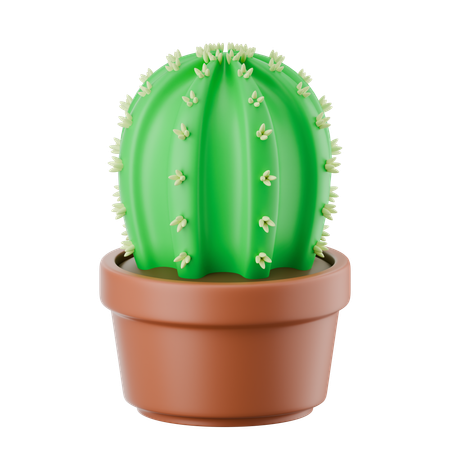 サボテンポット  3D Icon