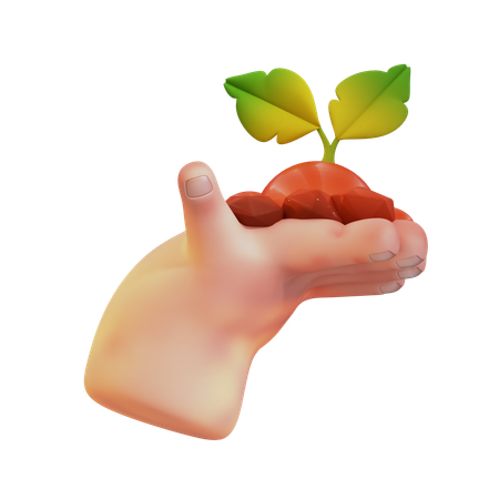 土と葉を持つ手  3D Icon