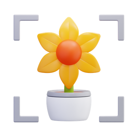 꽃 물체에 초점을 맞추세요  3D Icon