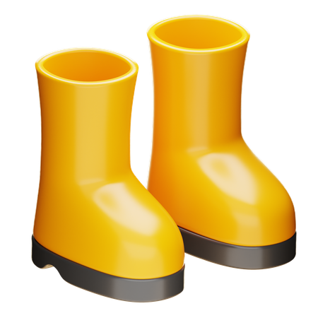 부츠  3D Icon