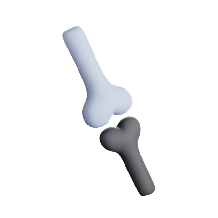 骨関節  3D Icon