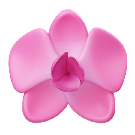 난초 꽃  3D Icon