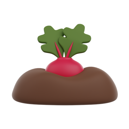 大根を植えた  3D Icon