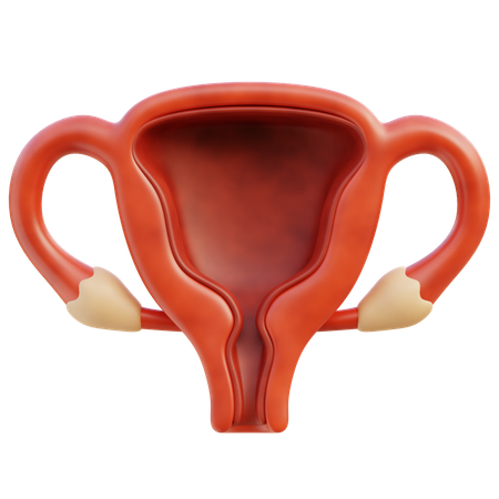 子宮  3D Icon