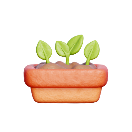 庭の植物  3D Icon