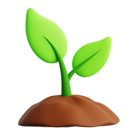 식물 냄비  3D Icon