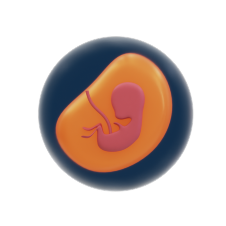 妊娠  3D Icon
