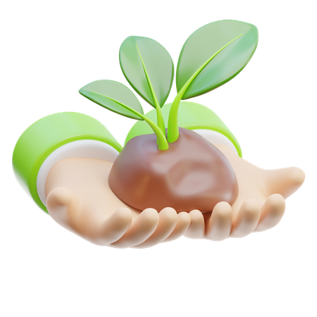 植物を保存する  3D Icon