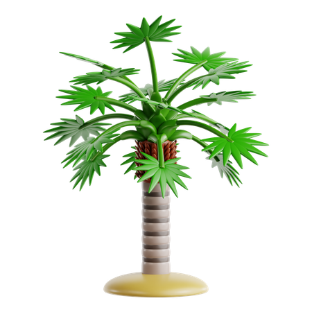 플로리다 초가 팜  3D Icon