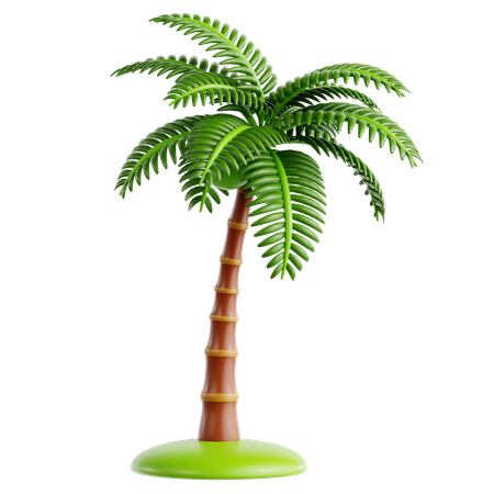 코코넛 야자  3D Icon