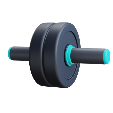 Roue abdominale  3D Icon