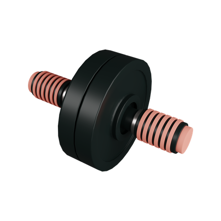 Abdominal wheel  3D Icon