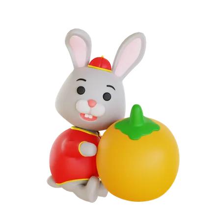 Abraço de coelho lunar chinês laranja  3D Illustration