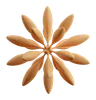Abstract Shapes