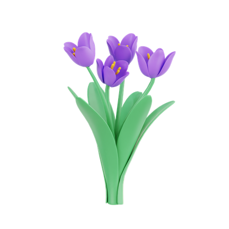 Açafrão  3D Icon