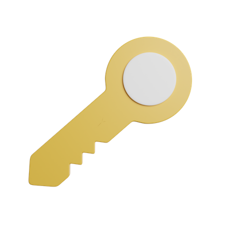 Access Key  3D Icon