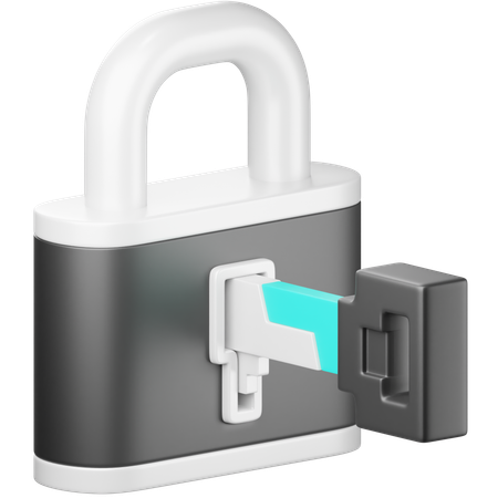 Access Key  3D Icon