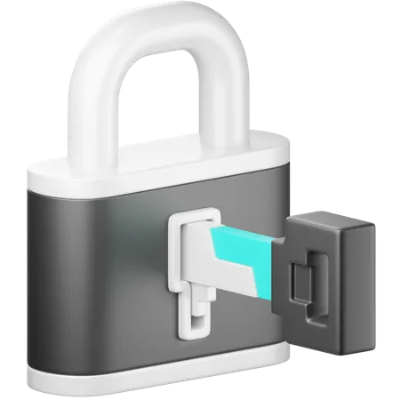 Access Key  3D Icon