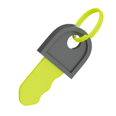 Access Key  3D Icon