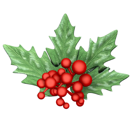 Acebo de navidad  3D Icon