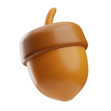 Acorn  3D Icon
