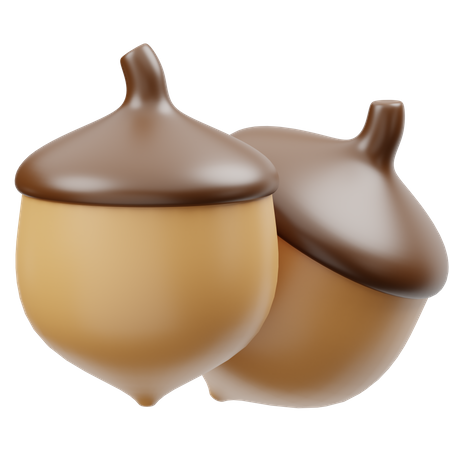 Acorn  3D Icon