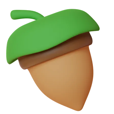 Acorn  3D Icon