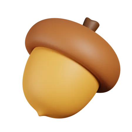 Acorn  3D Icon