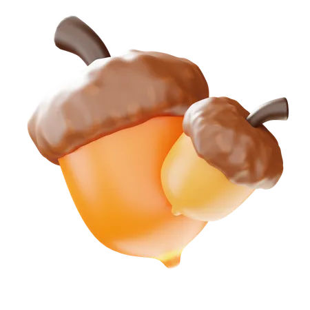 Acorn  3D Icon