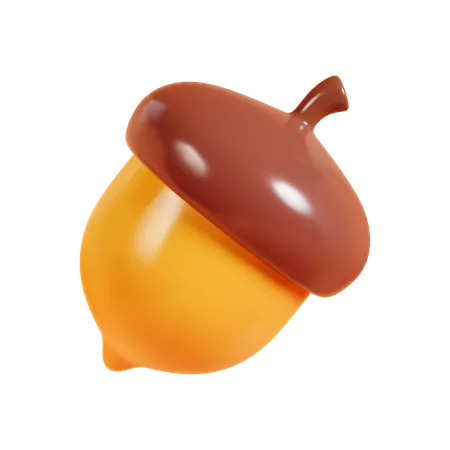 Acorn  3D Icon