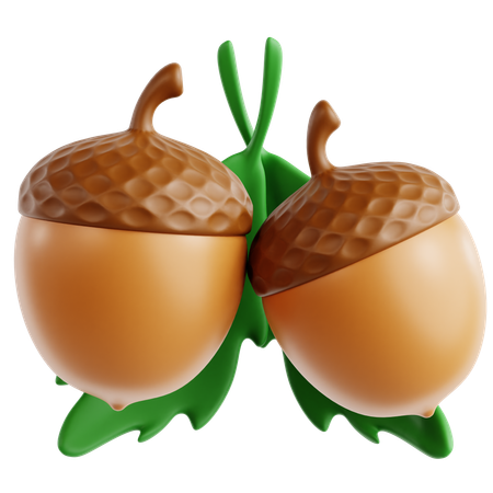 Acorn  3D Icon