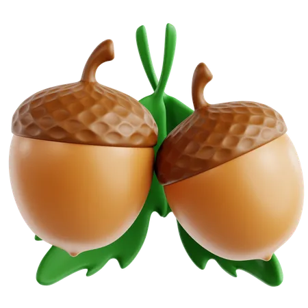 Acorn  3D Icon