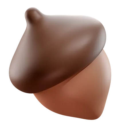 Acorn  3D Icon